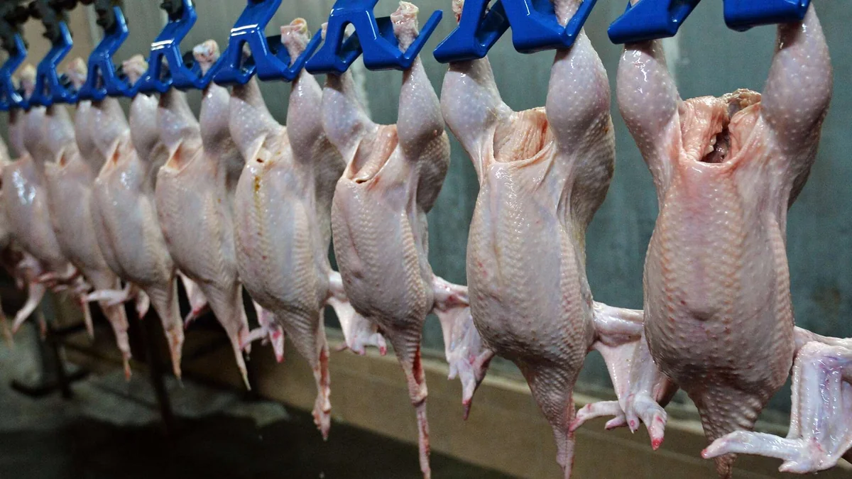 Минсельхоз: Казахстан довел уровень самообеспечения мясом птицы до 78%