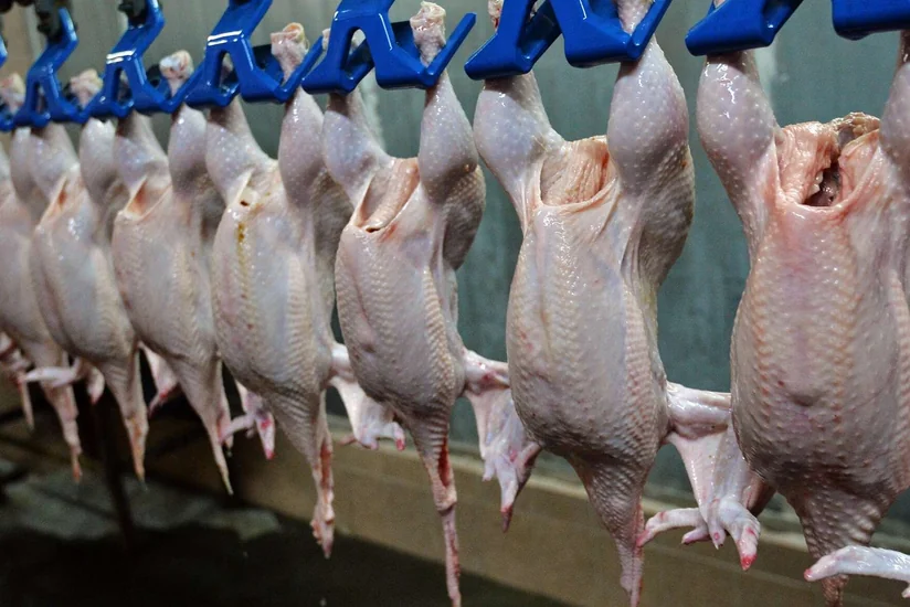 Минсельхоз: Казахстан довел уровень самообеспечения мясом птицы до 78%