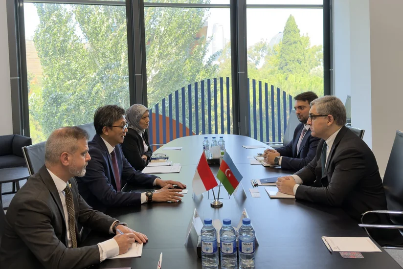 Azerbaijan and Indonesia discuss investment, economic cooperation