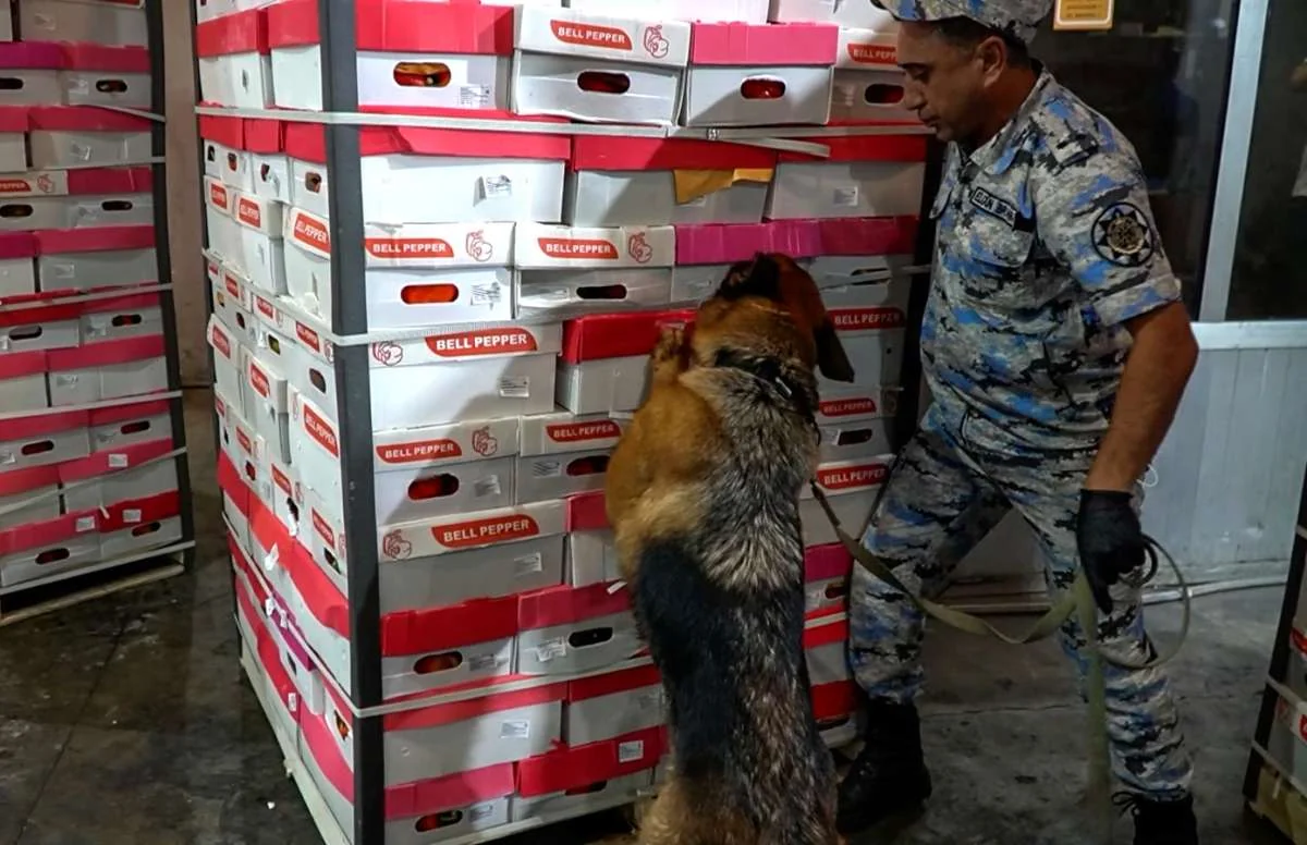 İrandan Rusiyaya 25 kiloqramdan çox marixuana keçirilməsinin qarşısı alınıb