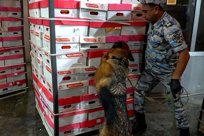 İrandan Rusiyaya 25 kiloqramdan çox marixuana keçirilməsinin qarşısı alınıb