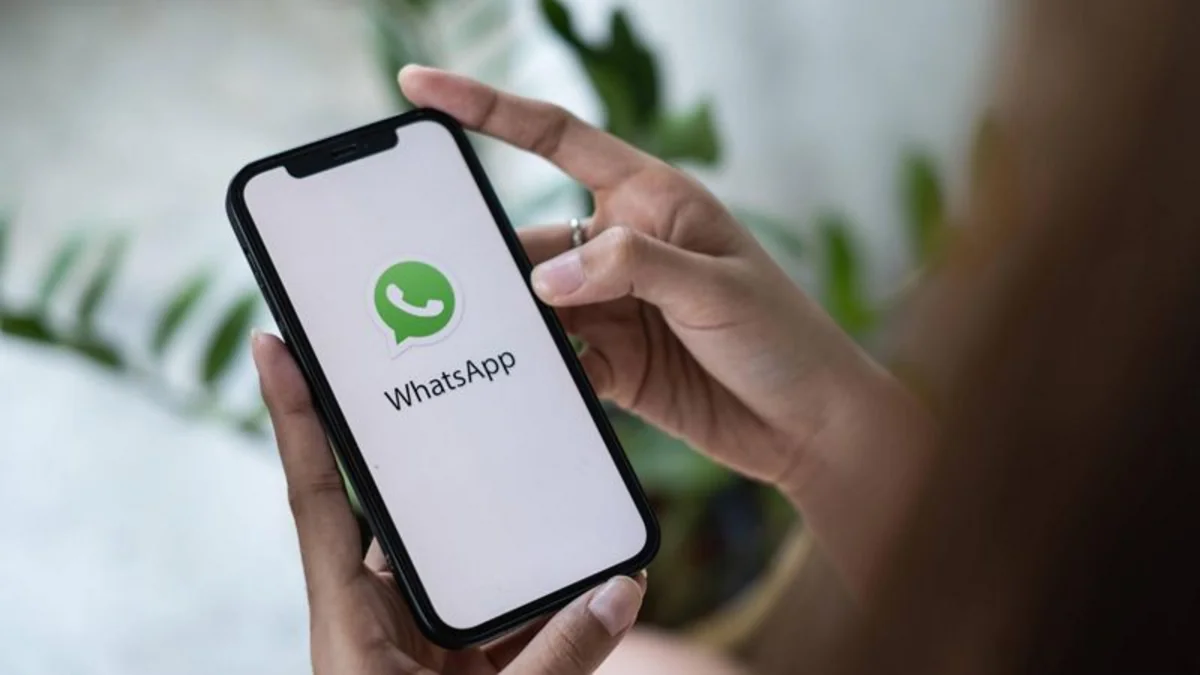 Saxta WhatsApp mesajlarından necə qorunmaq olar? - EKSPERT RƏYLƏRİ