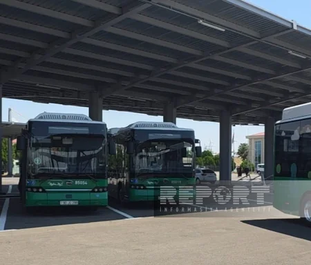 Naxçıvan avtobus parkında 222 nəfər işlə təmin edilib