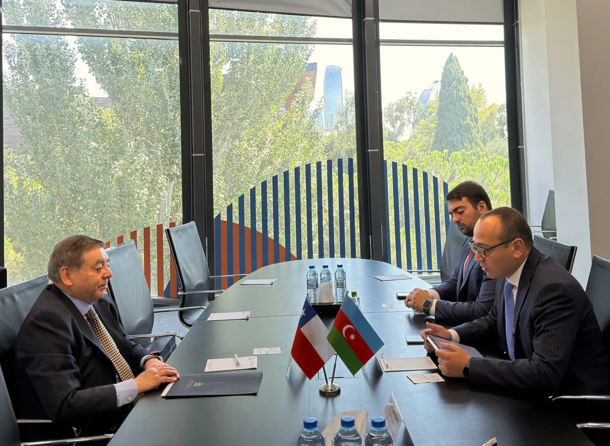 Azerbaijan and Chile discuss prospects for economic cooperation
