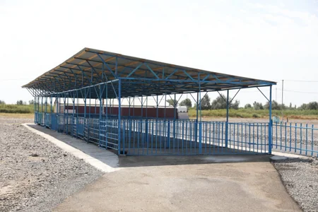 Ağdaş heyvan satışı bazarı fəaliyyətə başlayıb