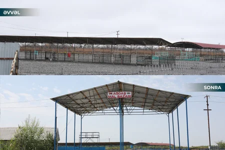 Ağdaş heyvan satışı bazarı fəaliyyətə başlayıb