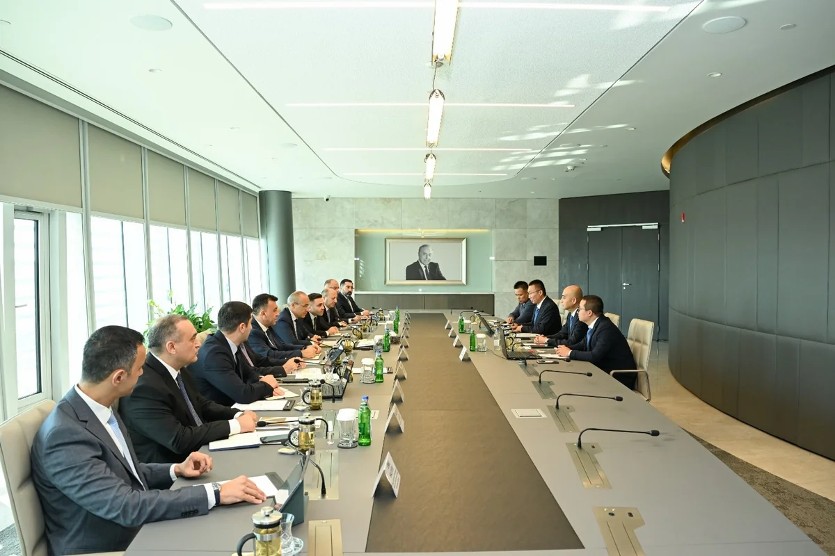 Azerbaijan, China discuss joint metallurgy projects