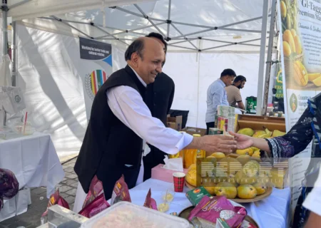 Pakistan culture festival held in Brussels