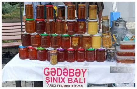 Qusarda Aqrar Biznes Festivalı və I İntensiv Meyvə Bağları Festivalı keçirilib