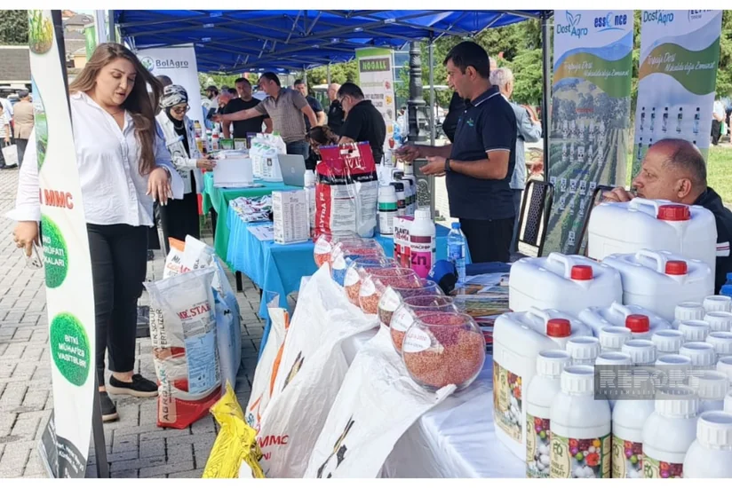Qusarda Aqrar Biznes Festivalı və I İntensiv Meyvə Bağları Festivalı keçirilib