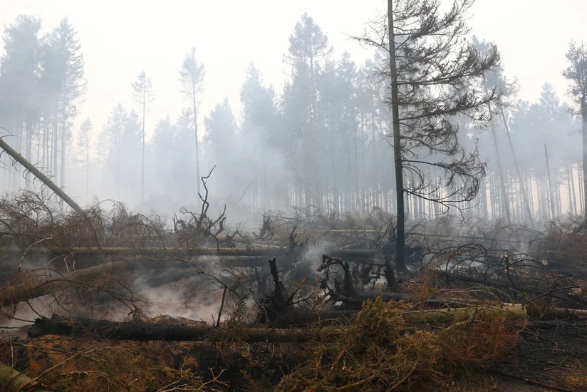 Belgium's largest-ever wildfire moves toward Germany