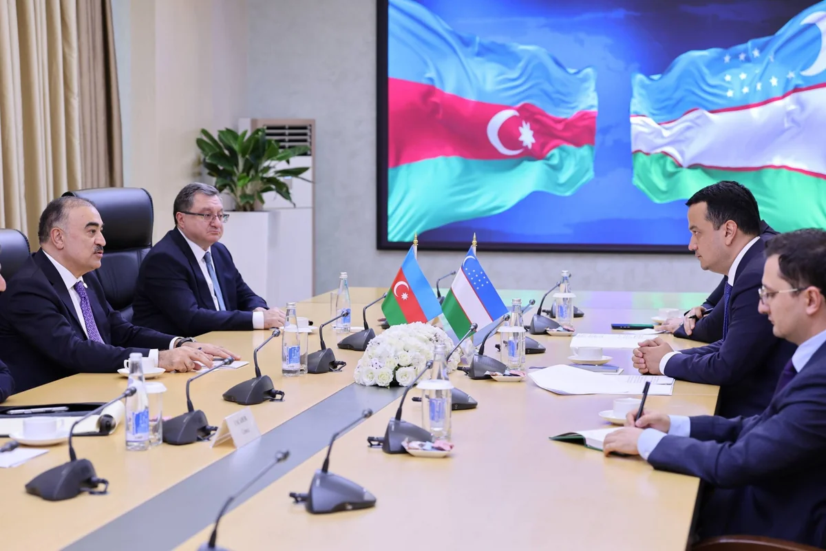 Uzbekistan, Azerbaijan mull increasing trade turnover