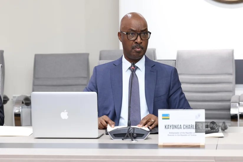 Rwanda envoy calls for focus on addressing colonialism's legacy