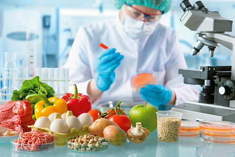 Azerbaijan, Turkmenistan to cooperate in food safety