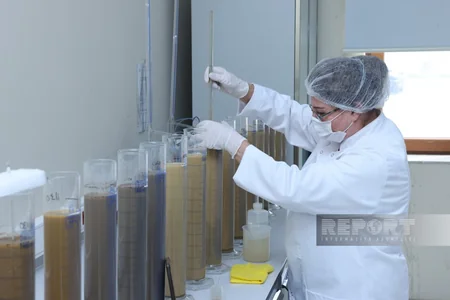 Aqrar Xidmətlər Agentliyinin Mərkəzi Laboratoriyasında görülən işlər açıqlanıb