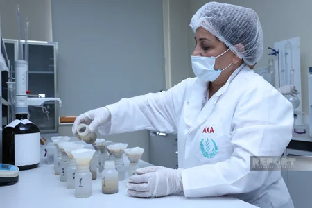 Aqrar Xidmətlər Agentliyinin Mərkəzi Laboratoriyasında görülən işlər açıqlanıb