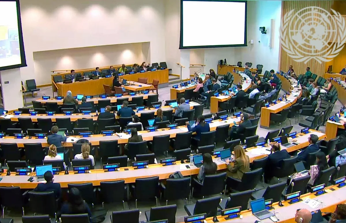 Azerbaijan joins 5th INC session on UN Tax Cooperation Framework