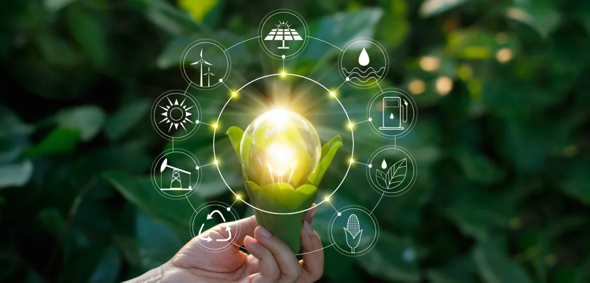 Azerbaijan developing new model of green development - REPORT