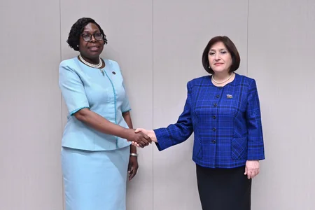 Sahibə Qafarova: Azərbaycan Afrika ölkələri ilə münasibətlərin inkişafına mühüm əhəmiyyət verir
