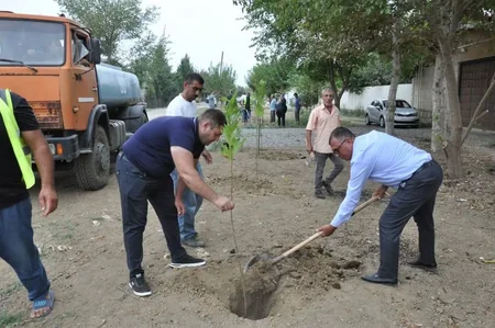 Biləsuvarda Abad Məhəllə layihəsi çərçivəsində yeni park salınıb