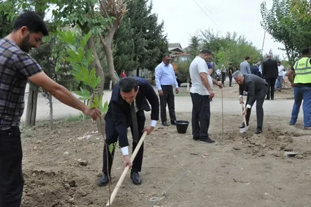 Biləsuvarda Abad Məhəllə layihəsi çərçivəsində yeni park salınıb