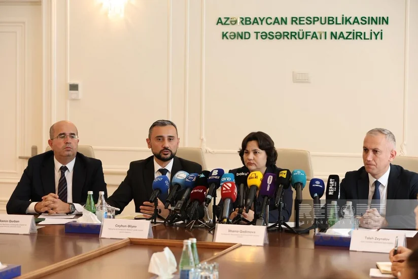 Ceyhun Əliyev: Azərbaycan nərə, qızılbalıq və çəkikimilərlə özünü tam təmin edir