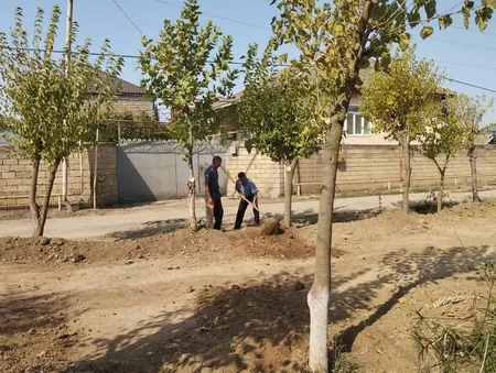 Biləsuvarda Abad Məhəllə layihəsi çərçivəsində yeni park salınıb