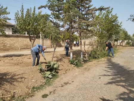 Biləsuvarda Abad Məhəllə layihəsi çərçivəsində yeni park salınıb