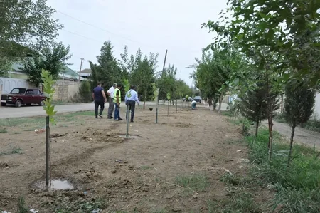 Biləsuvarda Abad Məhəllə layihəsi çərçivəsində yeni park salınıb