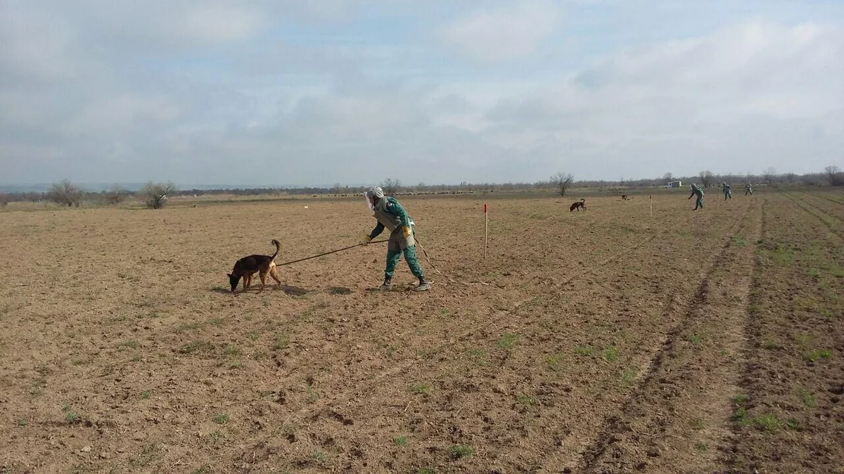 Two mine detection dogs to be acquired for operations in Azerbaijan