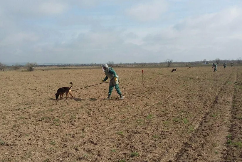Two mine detection dogs to be acquired for operations in Azerbaijan
