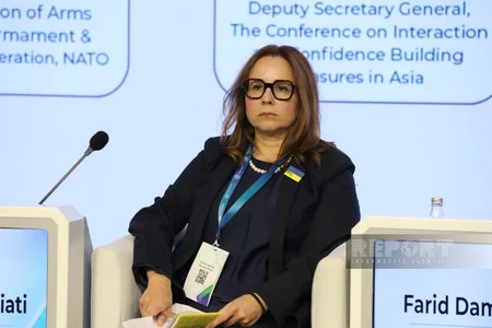 Baku conference highlights humanitarian demining's role in resilient communities