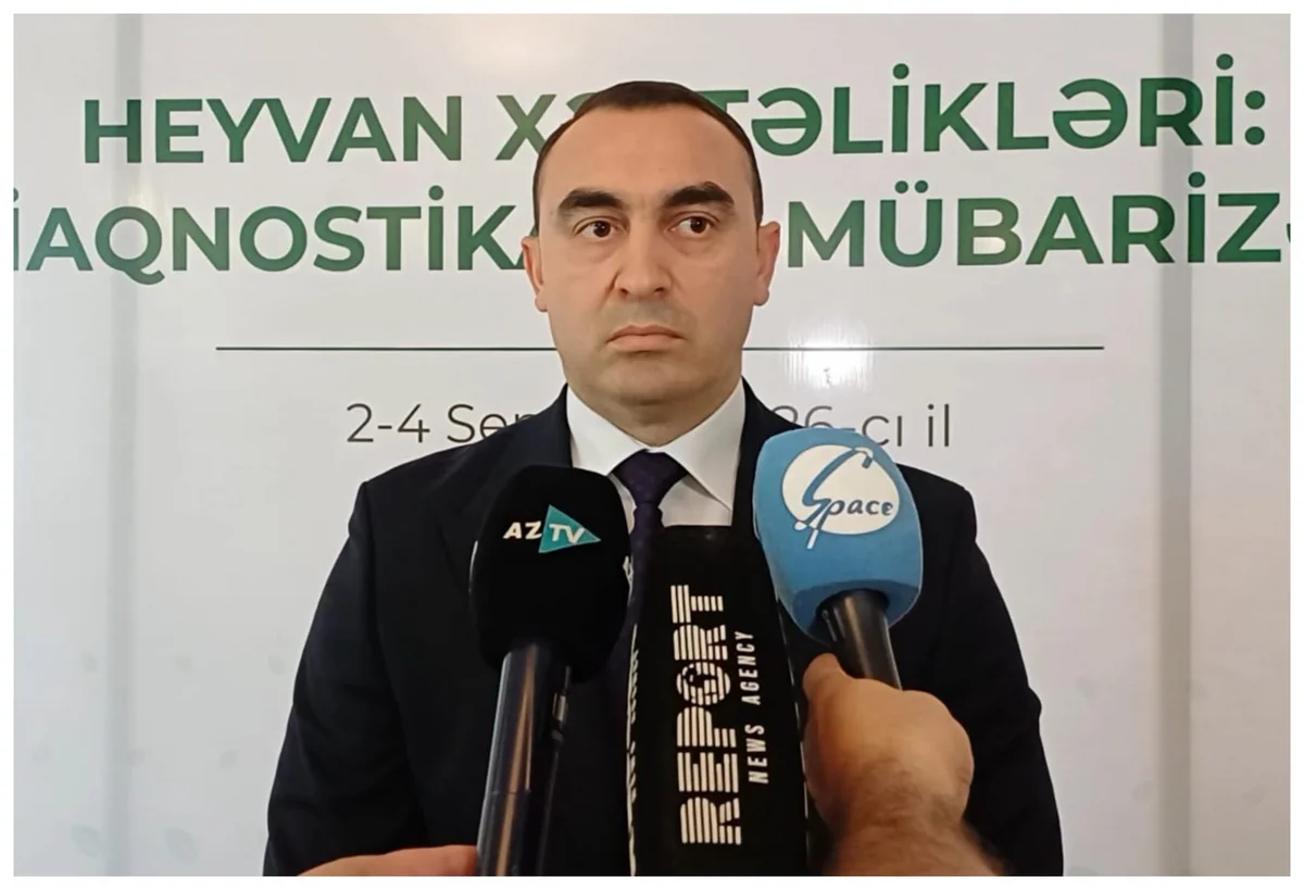 AXA: Bəzi təsərrüfat sahiblərinin yeni informasiyalara çıxışı yoxdur