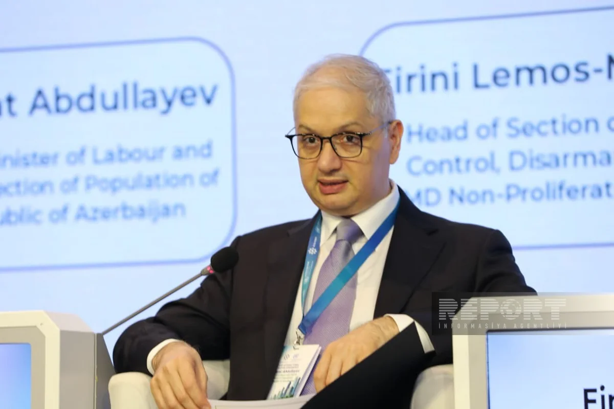 Deputy Minister: Comprehensive mechanisms needed for full integration of mine victims
