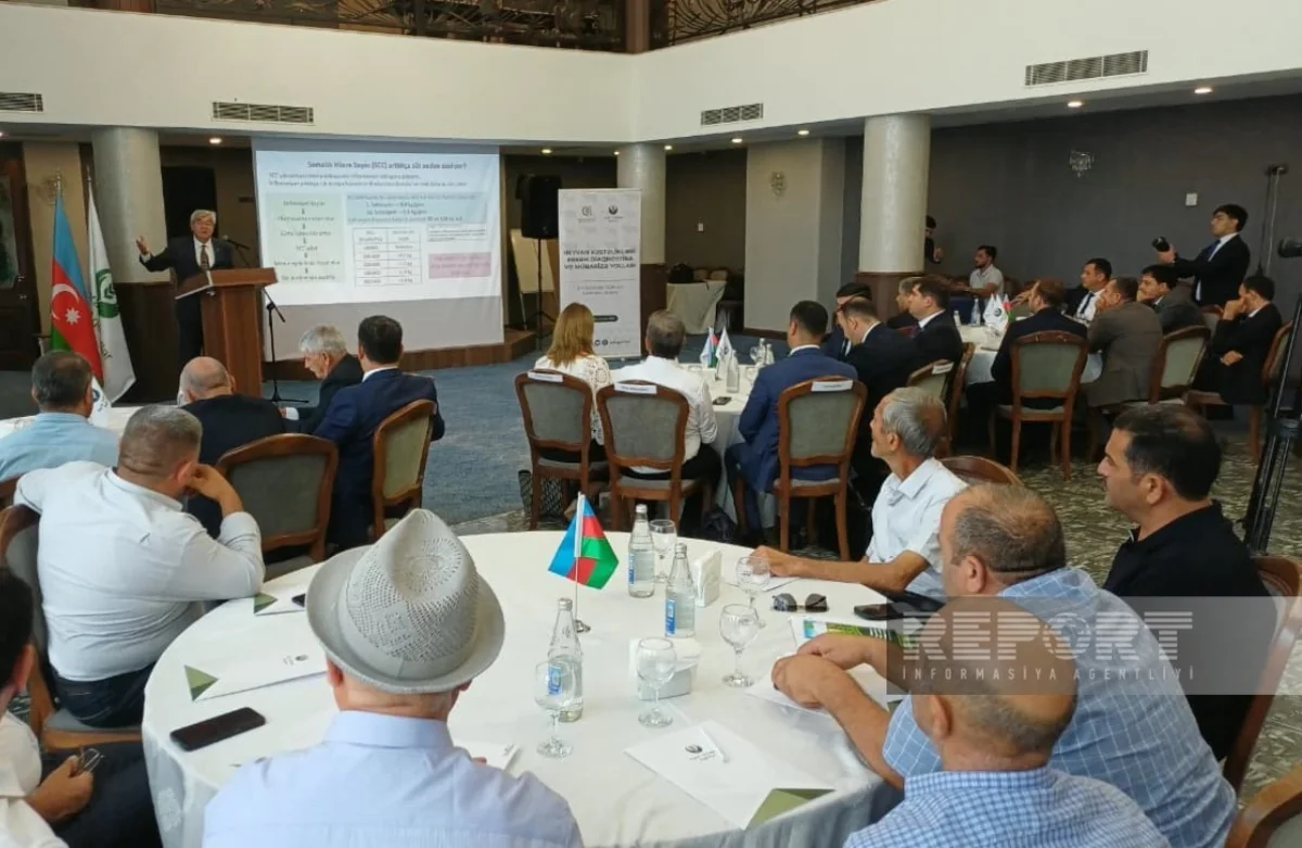 Lənkəranda fermerler üçün heyvan xəstəlikləri ilə mübarizə mövzusunda təlim keçirilib