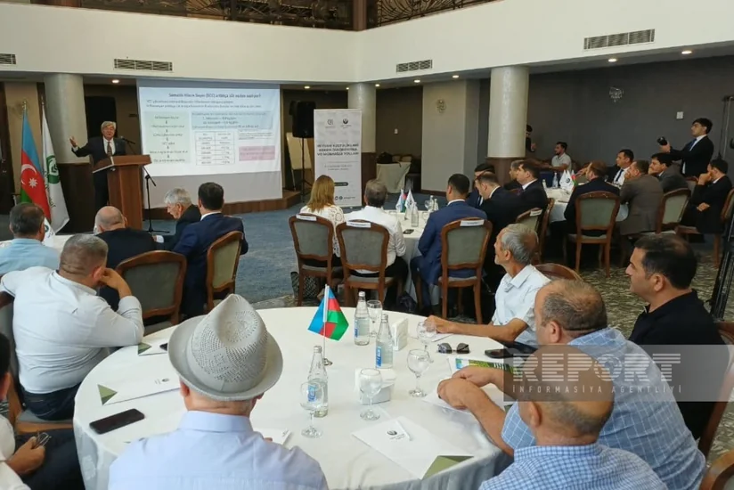 Lənkəranda fermerler üçün heyvan xəstəlikləri ilə mübarizə mövzusunda təlim keçirilib