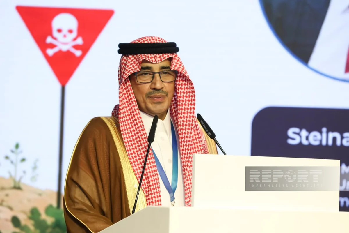 Saudi Arabia allocates $3 million for mine clearance in Azerbaijan, MFA says