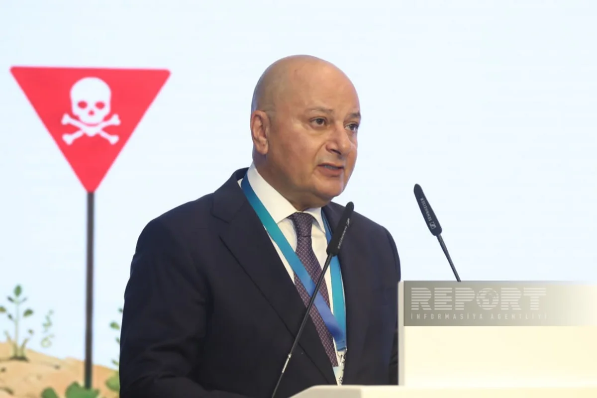 Over 103,000 hectares cleared of mines in Azerbaijan since November 2020