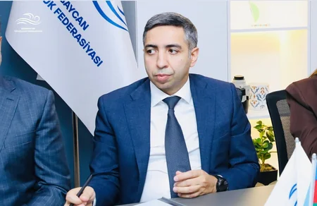 Bakıda keçiriləcək üzgüçülük üzrə Dünya Kubokuna hazırlıq məsələləri müzakirə olunub