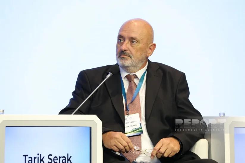 Bosniya və Herseqovinada minatəmizləmə üzrə beşillik plan hazırlanıb