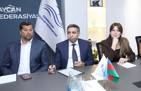 Bakıda keçiriləcək üzgüçülük üzrə Dünya Kubokuna hazırlıq məsələləri müzakirə olunub