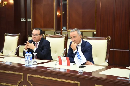 ATƏT PA-nın prezidenti Cənubi Qafqazda sülh quruculuğunu yüksək qiymətləndirib