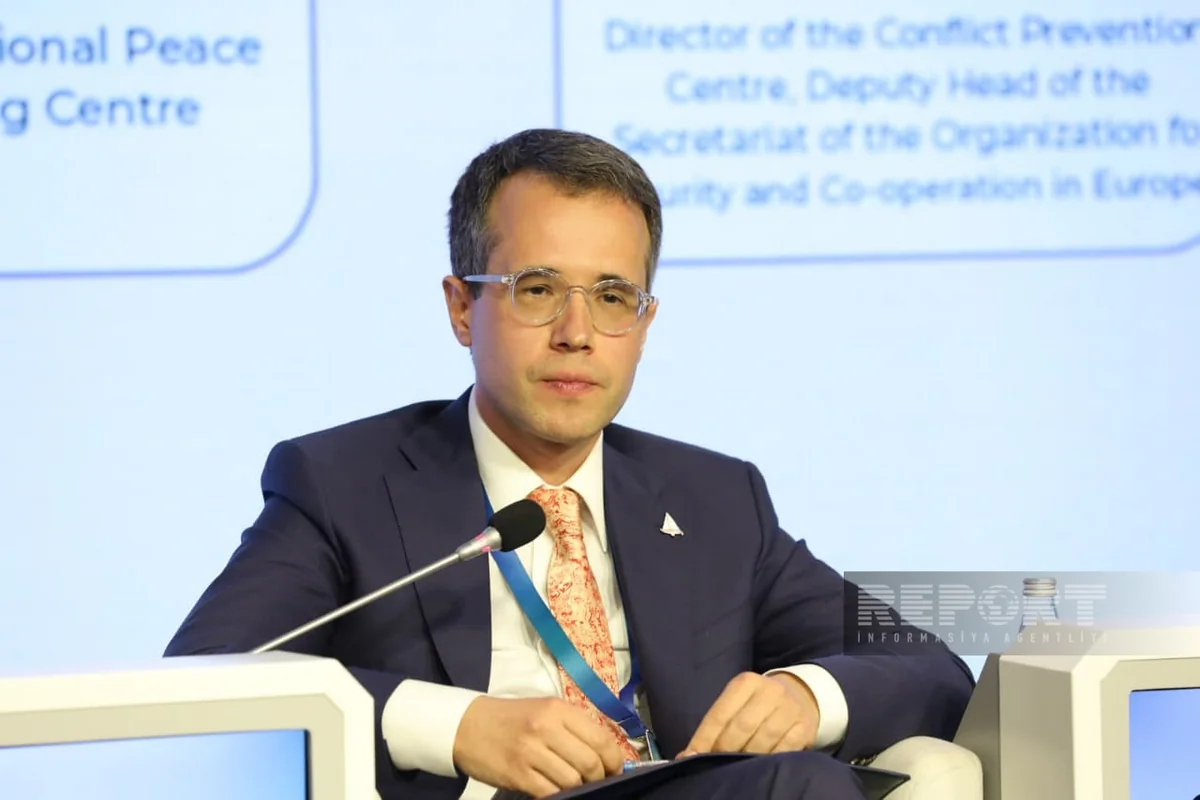 Humanitarian mine clearance no longer merely technical task - Russian diplomat
