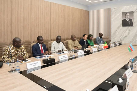 Azerbaijan, Senegal mull co-op in digital development, innovation