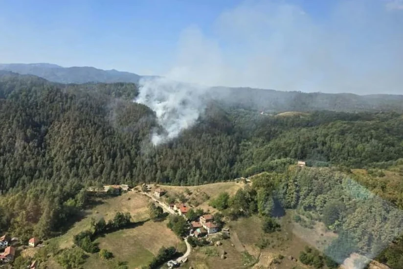 Bosniyada başlayan meşə yanğınları Xorvatiyaya keçib