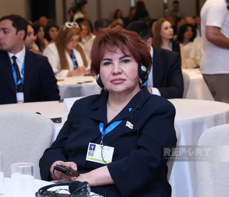 Baku hosting UNFCCC Climate Week 4
