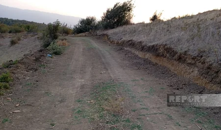 Cəlilabadda Tunc dövrünə aid saxsı qablar aşkarlanıb