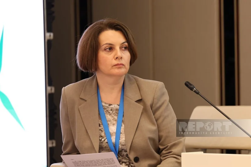 Rəna Hümbətova: Azərbaycan 2036-cı ildən sonra yaşıl hidrogen ixrac edə bilər
