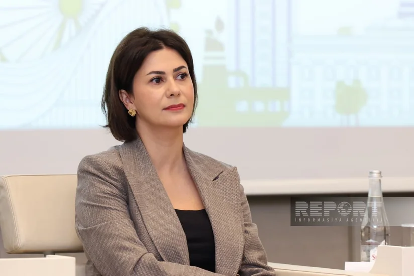 ECO Clean Energy Center в Баку готовит модельный закон о возобновляемой энергетике для стран ОЭС