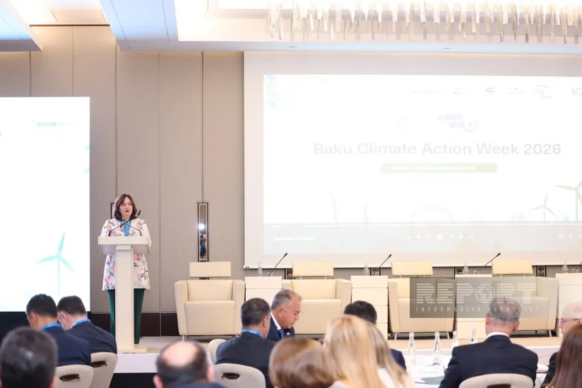 COP31-in baş direktoru: Bakı və Ankara iqlim sahəsində əməkdaşlığı gücləndirəcək